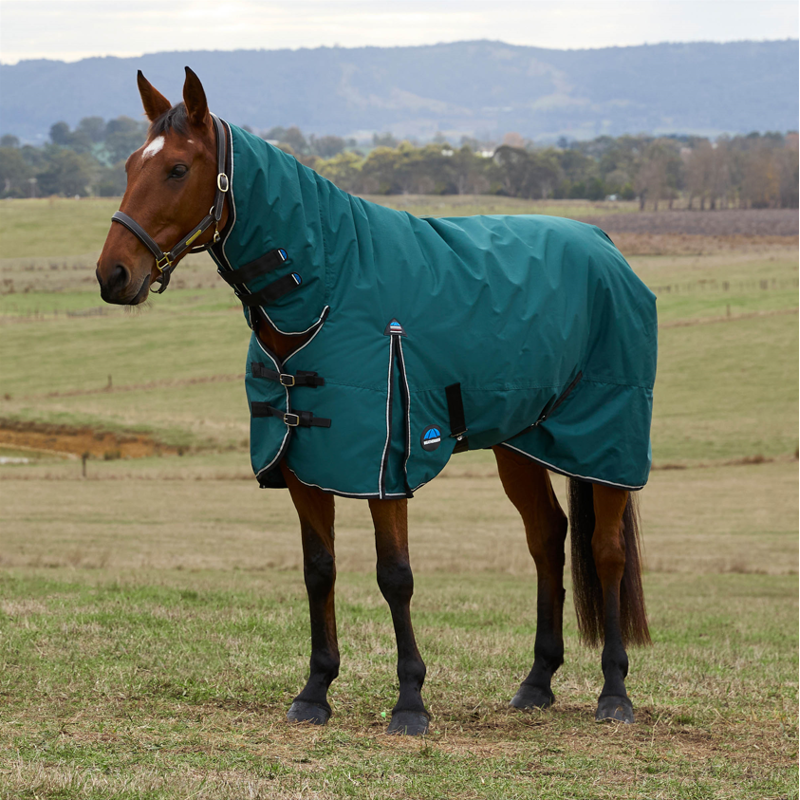 Weatherbeeta Comfitec Classic Turnout Combo 220G Forest Green/Black