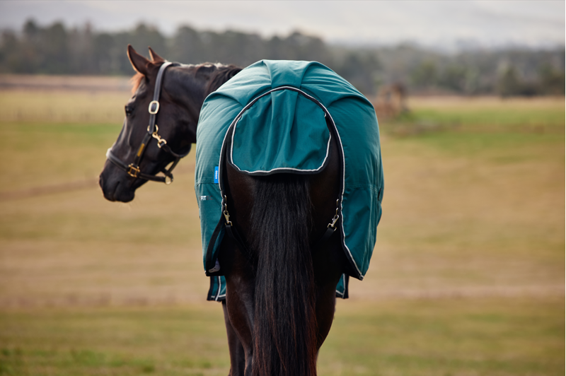 Weatherbeeta Comfitec Classic Standard Turnout 50G Forest Green/Black-2