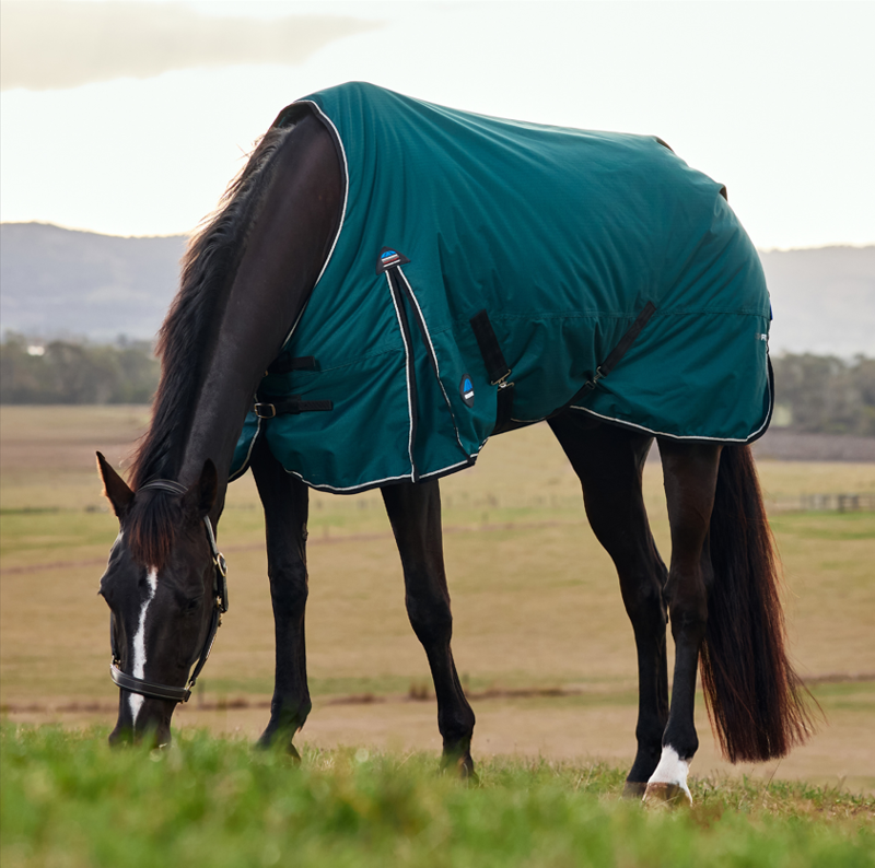 Weatherbeeta Comfitec Classic Standard Turnout 50G Forest Green/Black-5