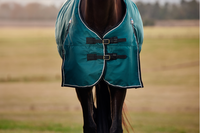 Weatherbeeta Comfitec Classic Standard Turnout 50G Forest Green/Black-1