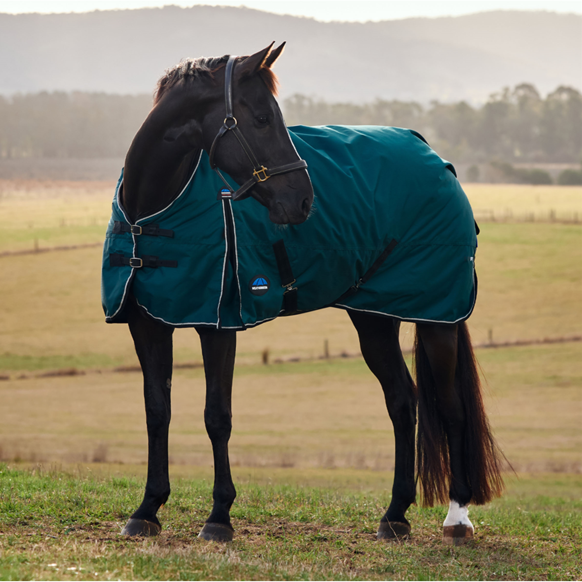 Weatherbeeta Turtle Rug Weatherbeeta Comfitec Classic Turnout Standard Rug 50G in Green