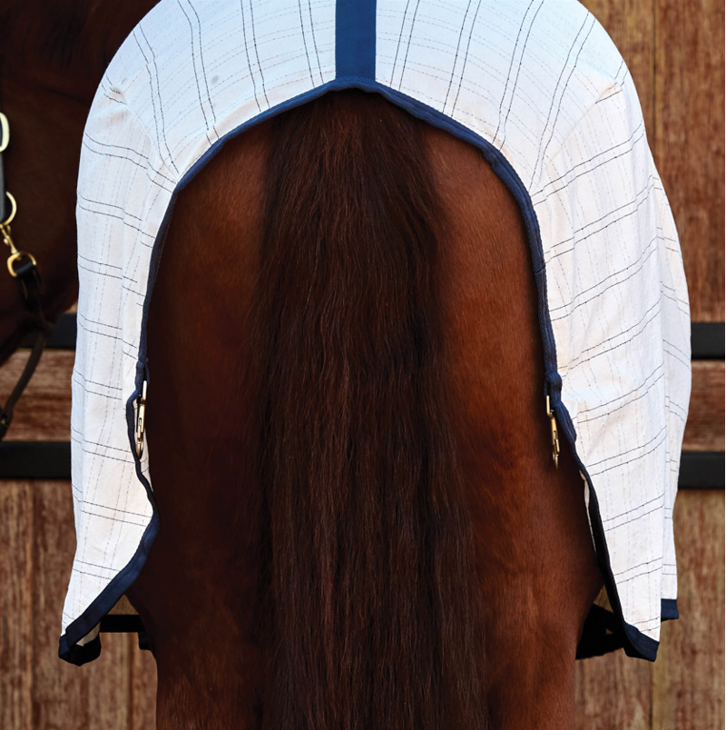 Weatherbeeta Comfitec Cotton Sheet Liner White/Navy-3