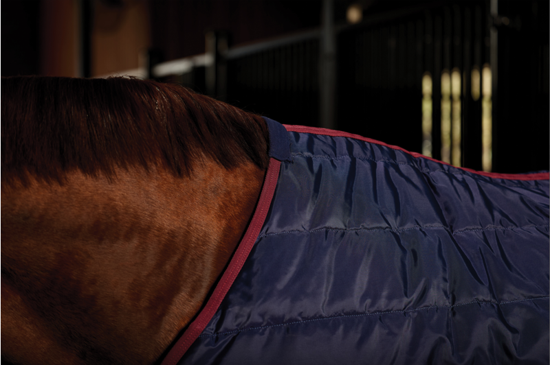 Weatherbeeta Comfitec Quilt Stable Standard Neck 100G Navy/Burgundy-4