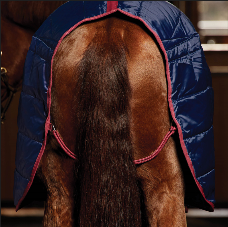 Weatherbeeta Comfitec Quilt Stable Standard Neck 100G Navy/Burgundy-1