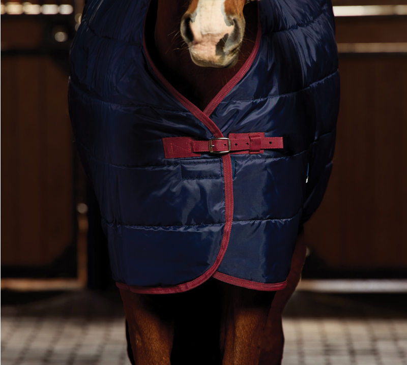 Weatherbeeta Comfitec Quilt Stable Standard Neck 100G Navy/Burgundy-3