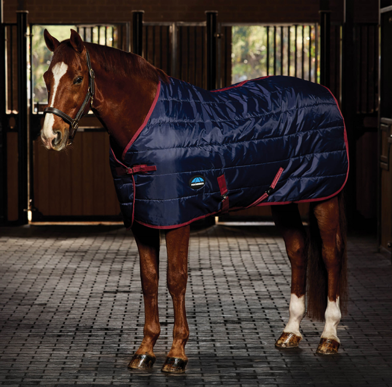 Weatherbeeta Comfitec Quilt Stable Standard Neck 100G Navy/Burgundy