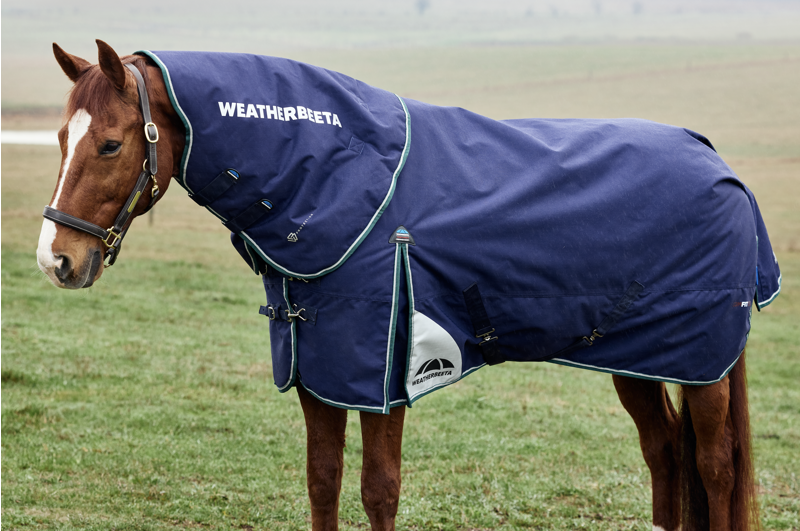 Weatherbeeta Comfitec Plus Dynamic Turnout Detach Neck 100G Navy/Forest-2