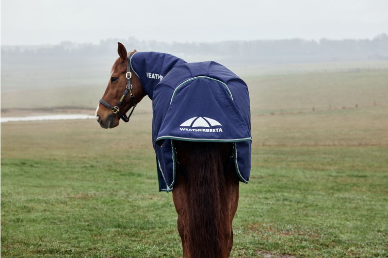 Weatherbeeta Comfitec Plus Dynamic Turnout Detach Neck 220G Navy/Forest-4