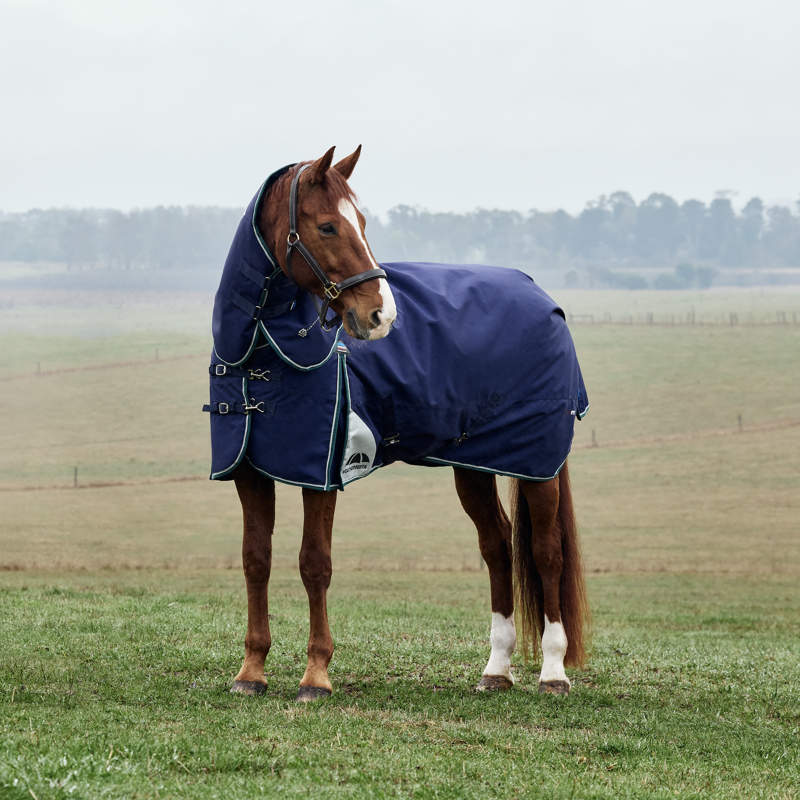 Weatherbeeta Comfitec Plus Dynamic Turnout Detach Neck 220G Navy/Forest