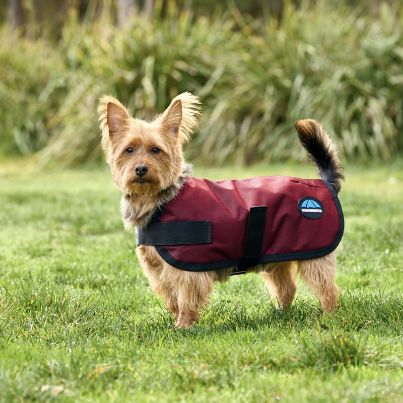 Weatherbeeta ComFiTec Classic Waterproof Dog Coat Burgundy-3