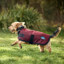 Weatherbeeta ComFiTec Classic Waterproof Dog Coat Burgundy