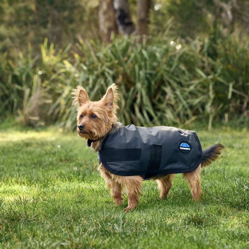 Weatherbeeta ComFiTec Classic Waterproof Dog Coat Charcoal-4