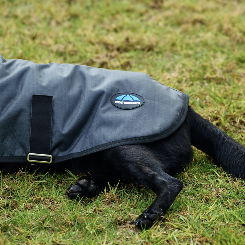 Weatherbeeta ComFiTec Classic Waterproof Dog Coat Charcoal-3