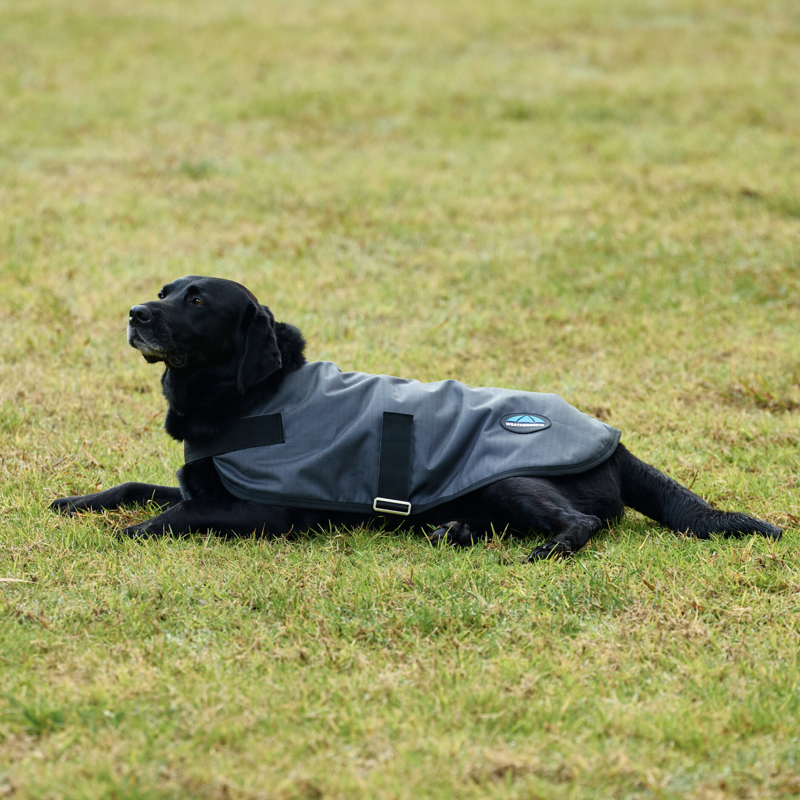Weatherbeeta ComFiTec Classic Waterproof Dog Coat Charcoal-2