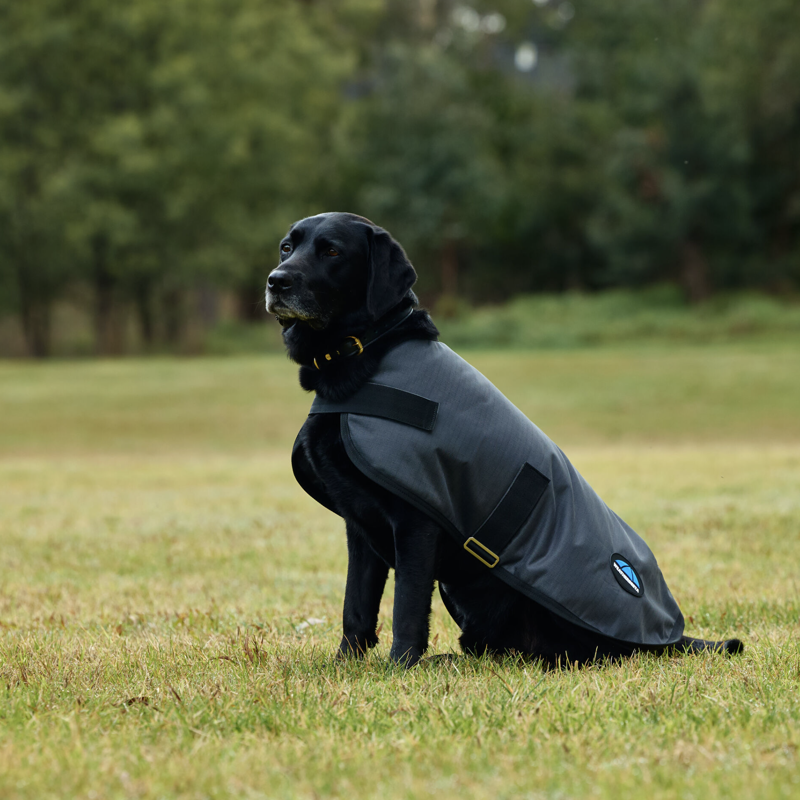 Weatherbeeta ComFiTec Classic Waterproof Dog Coat Charcoal-1