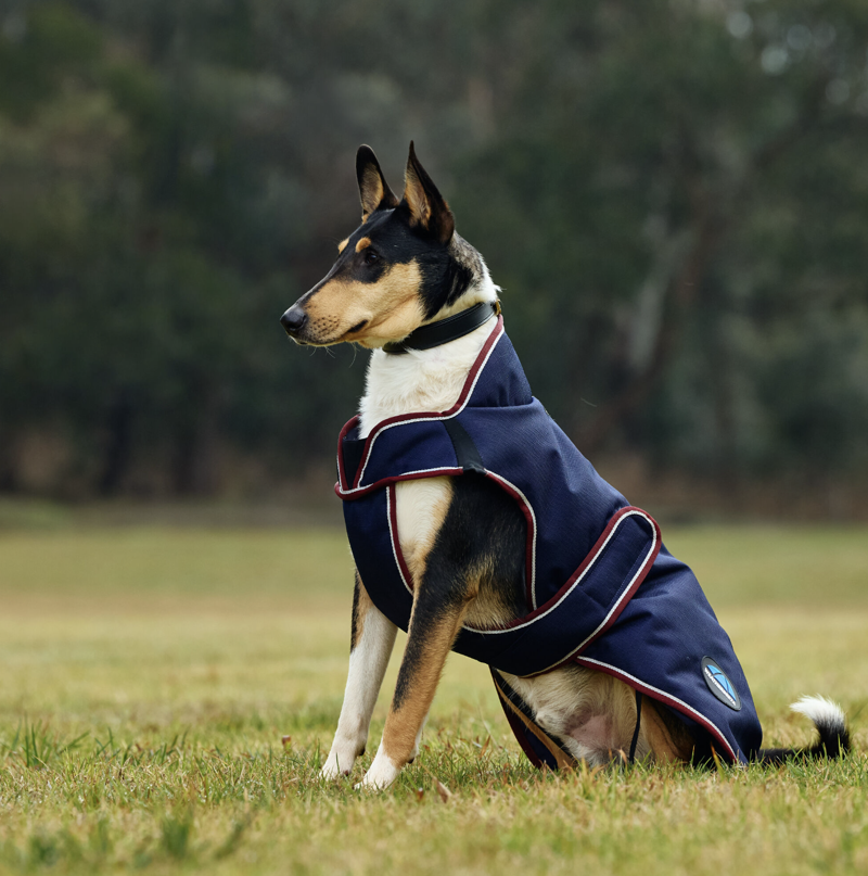 Weathebeeta ComFiTec Premier Deluxe Waterproof Dog Coat Navy/Burgundy-2
