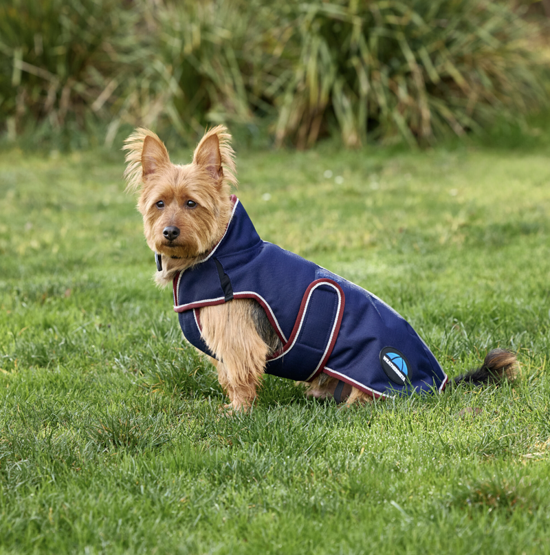 Weathebeeta ComFiTec Premier Deluxe Waterproof Dog Coat Navy/Burgundy-4
