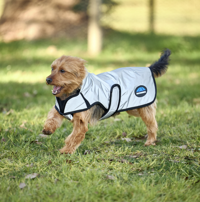 Weatherbeeta ComFiTec Reflective Showerproof Dog Coat Silver-1