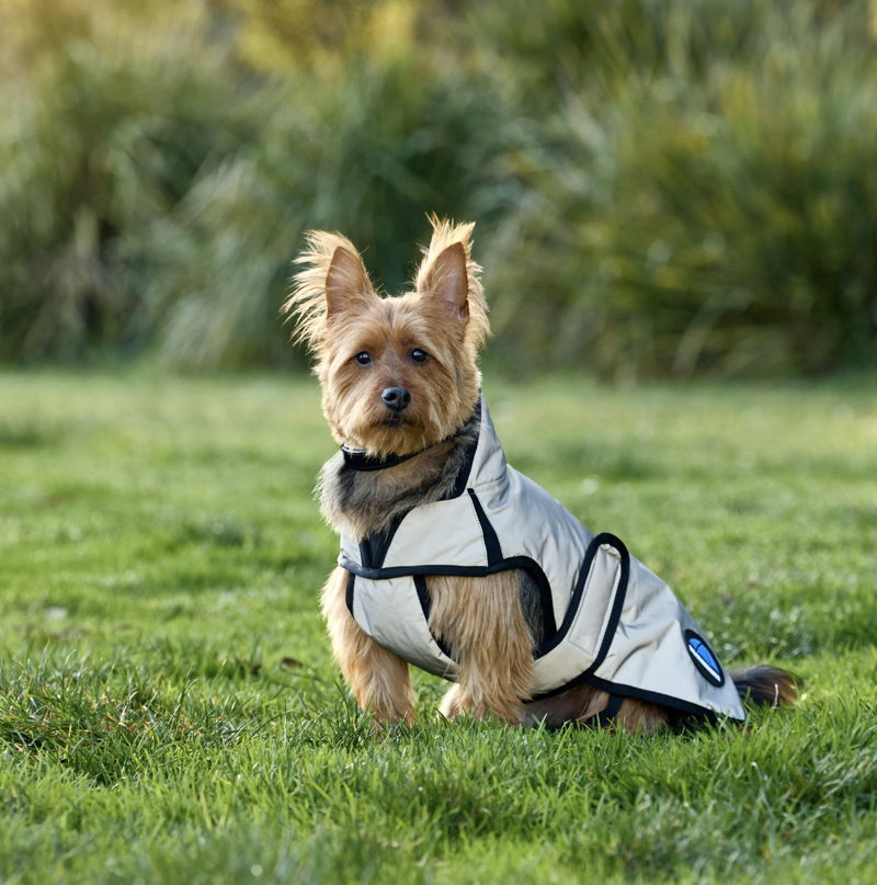 Weatherbeeta ComFiTec Reflective Showerproof Dog Coat Silver-2