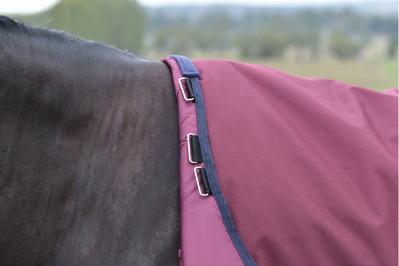 Weatherbeeta Comfitec Essential Turnout Detach-A-Neck 50G Burgundy/Navy-1