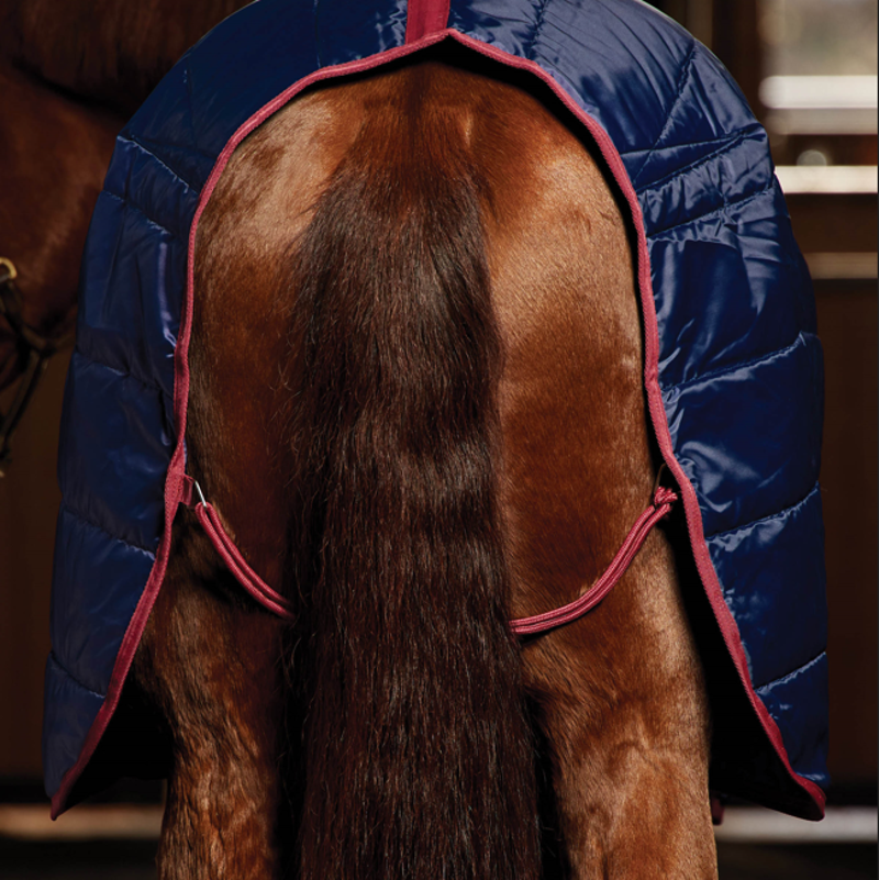 Weatherbeeta Comfitec 210D Channel Quilt Stable Standard Neck 220G Navy/Burgundy-4