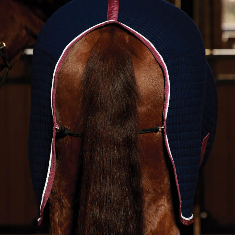 Weatherbeeta Thermocell Cooler Standard Neck Navy/Burgundy-3