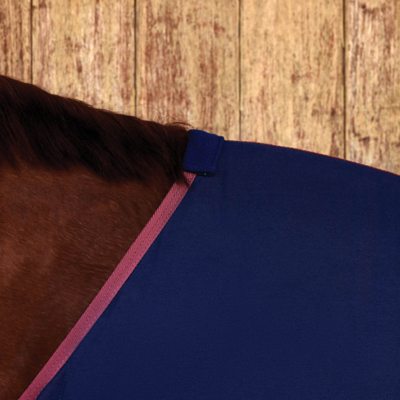 Weatherbeeta Cotton Sheet Standard Neck Navy/Burgundy-1