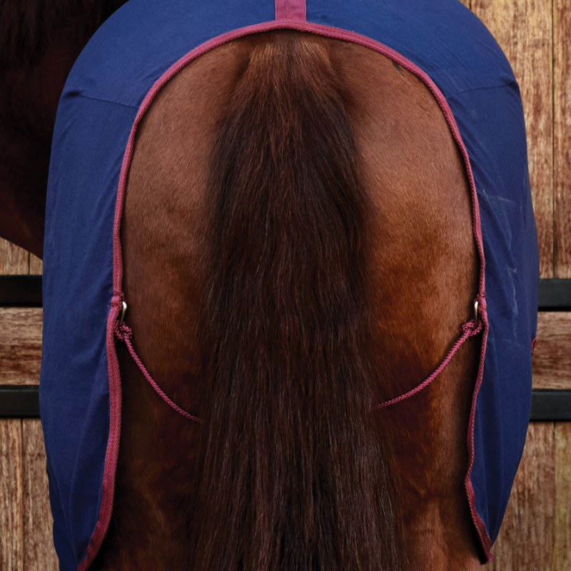 Weatherbeeta Cotton Sheet Standard Neck Navy/Burgundy-4