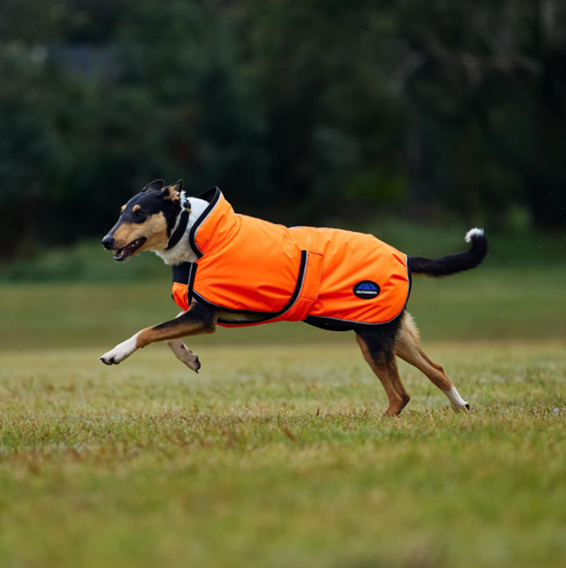 Weatherbeeta Comfitec Reflective 300D Deluxe Showerproof Dog Coat Orange-2