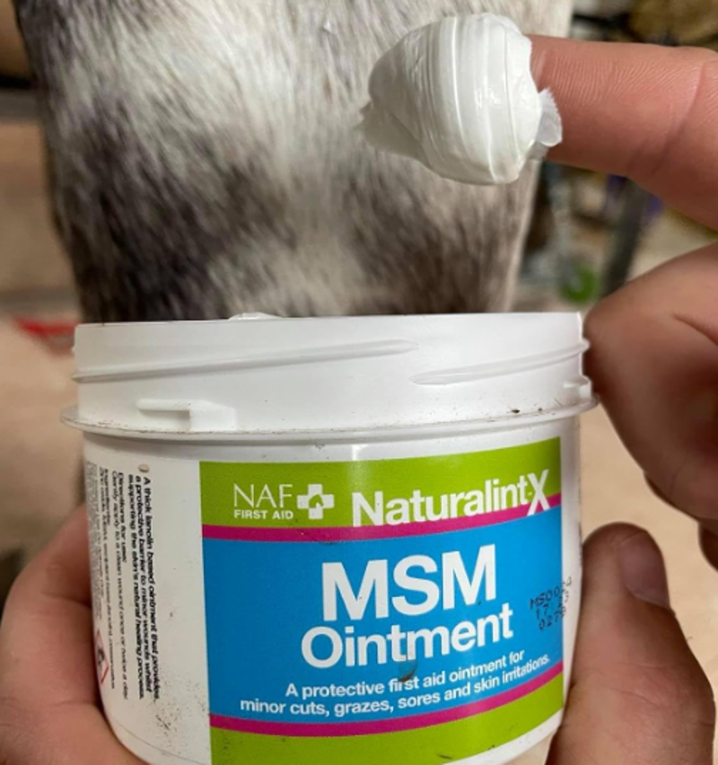 NAF MSM Ointment 250g-1