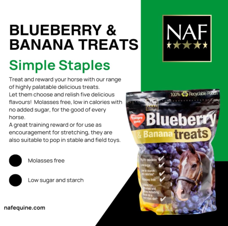 NAF Blueberry and Banana Treats 1KG-1
