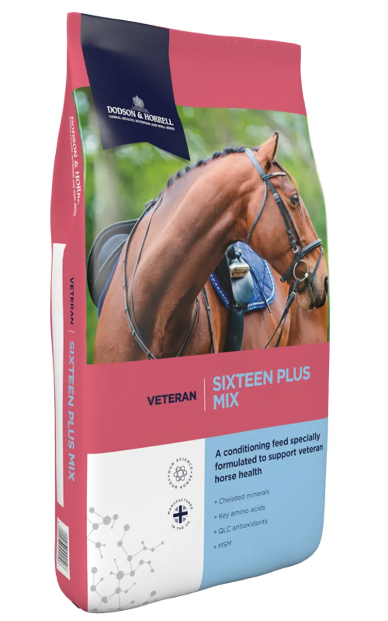 Dodson and Horrell Sixteen Plus Mix