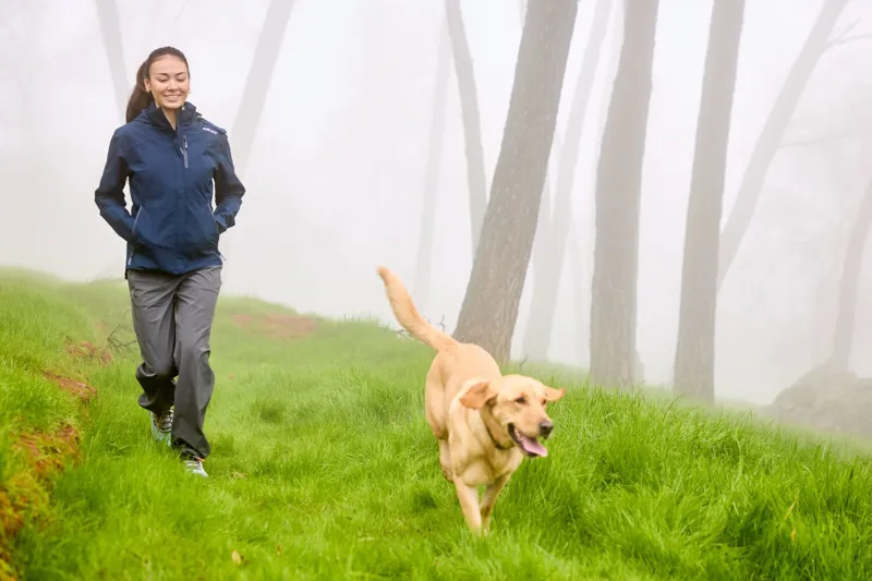  Ariat Womens Traverse Hiking Trousers in Charcoal-5