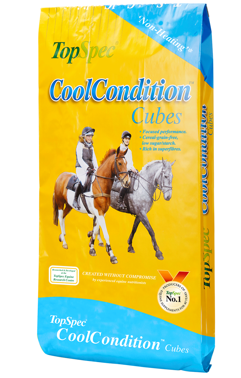 TopSpec Cool Condition Cubes 20kg