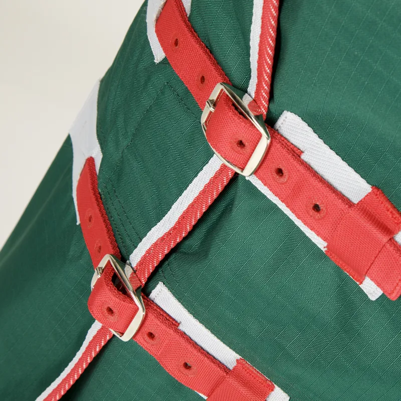 Bridleway Ontario 50g Turnout Rug Dark Green-2