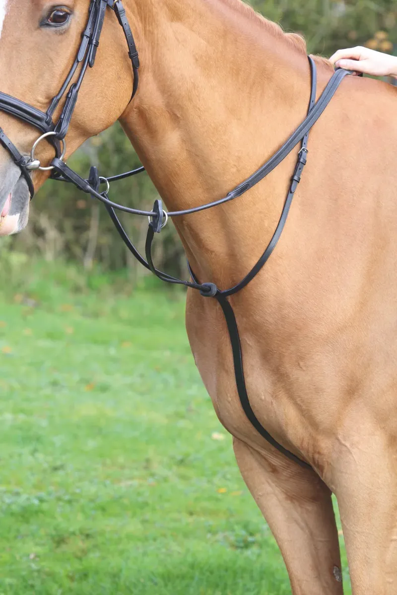 Velociti GARA Running Martingale Black