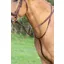 Velociti GARA Running Martingale Havana