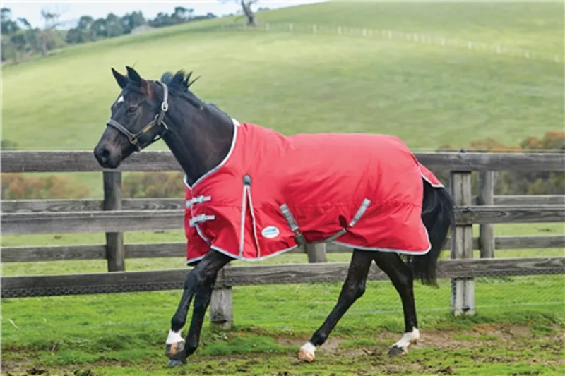 Weatherbeeta Comfitec Standard Medium 220G 