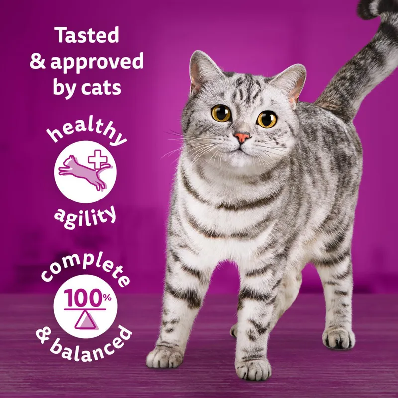 Whiskas Chefs Choice Tasty Mix 12pk-2