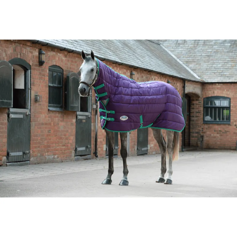 Weatherbeeta Comfitec Plus Dynamic 2 Standard Neck Medium Lite • Pris