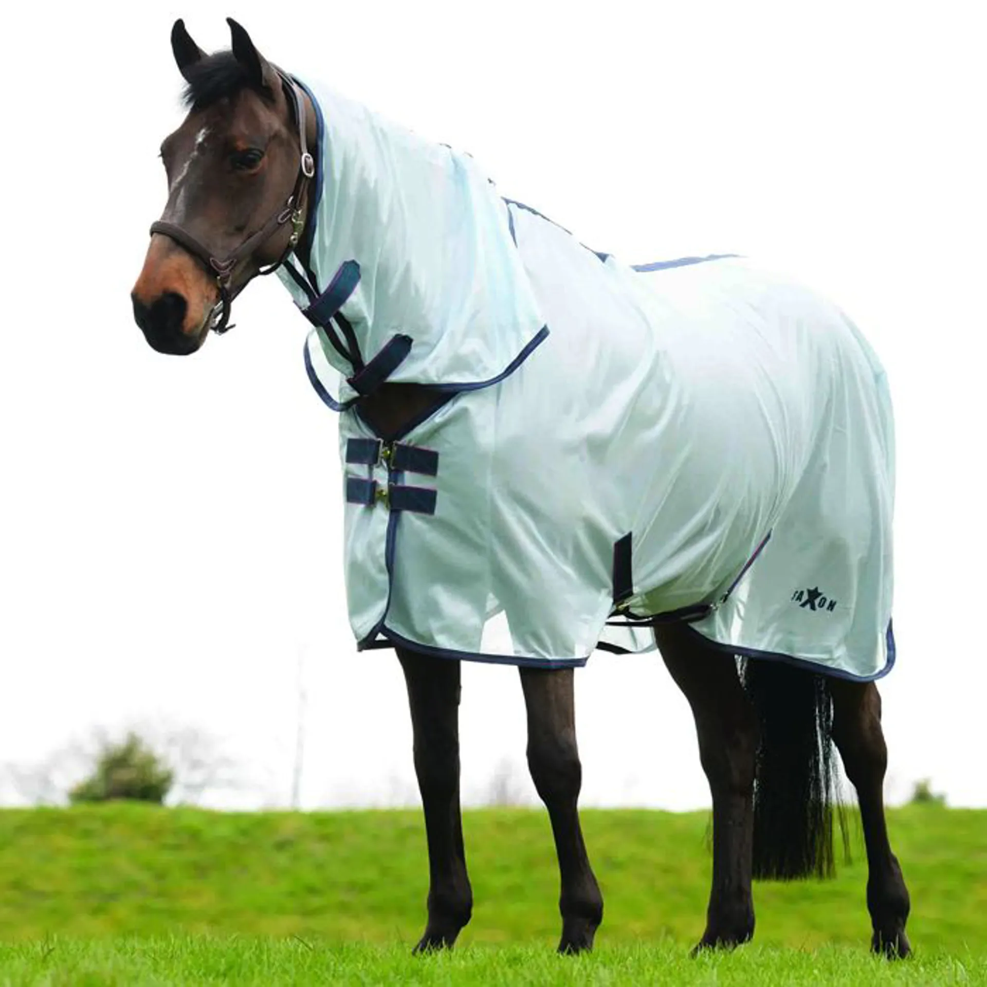 Fly Rug Weatherbeeta Weatherbeeta Saxon Mesh Combo Fly Rug Blue/Claret