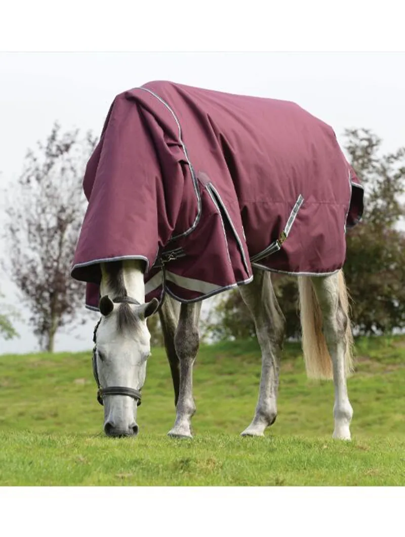 Weatherbeeta Comfitec Plus Dynamic II Detach-a-neck Medium-Lite MAROON-1