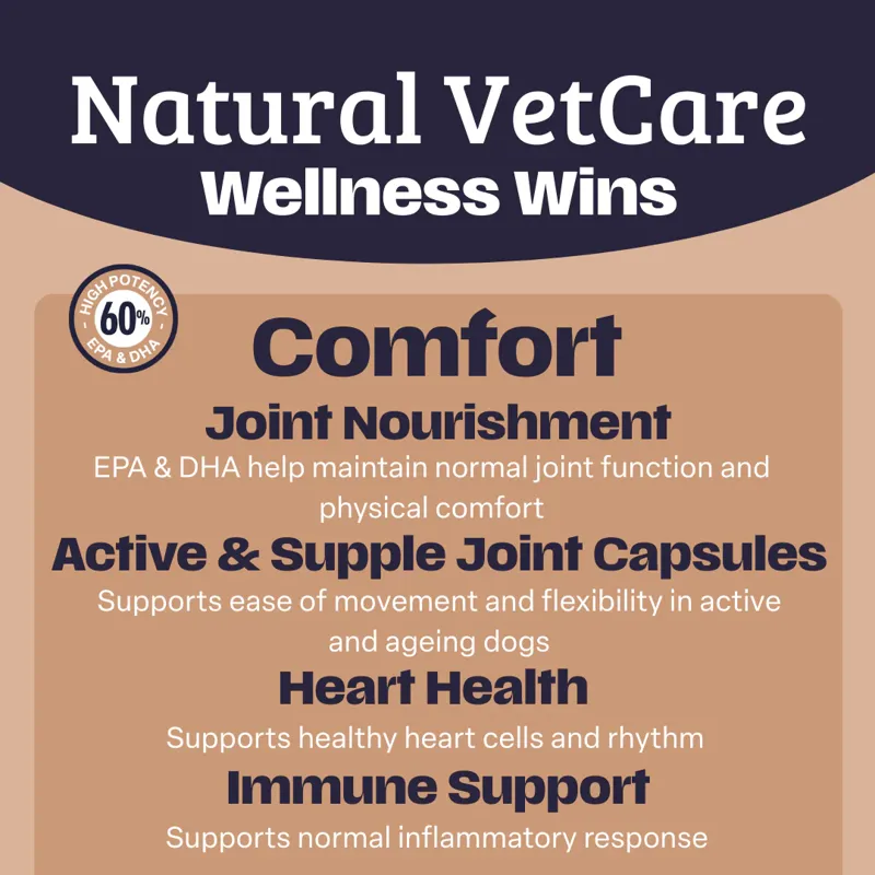 Natural Vet Care Comfort-1