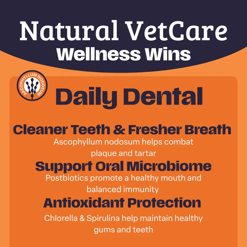 Natural Vet Care Daily Dental-1