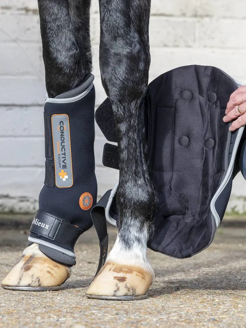 LeMieux Magnotherapy Boot-4