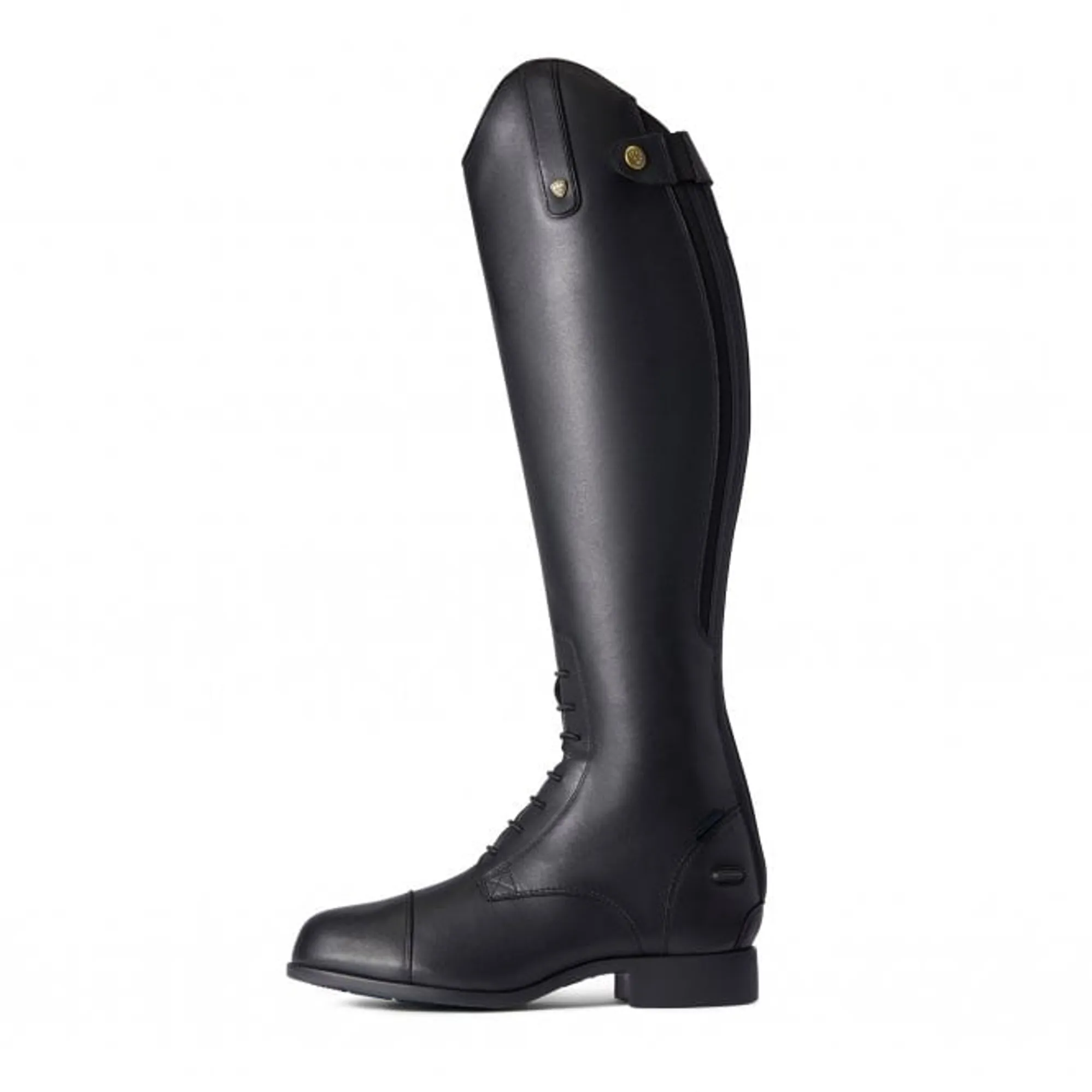 Botas De Equitación Venttek Half Chap Unisex Adulto | Meses Sin Interés