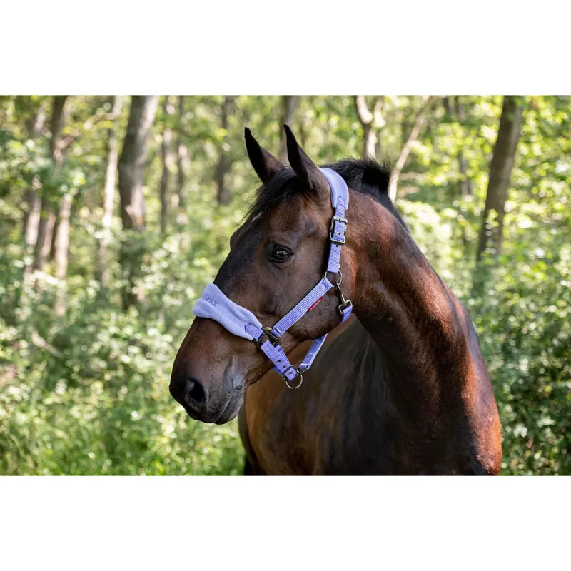 LeMieux Vogue Fleece Headcollar and Rope Bluebell-1