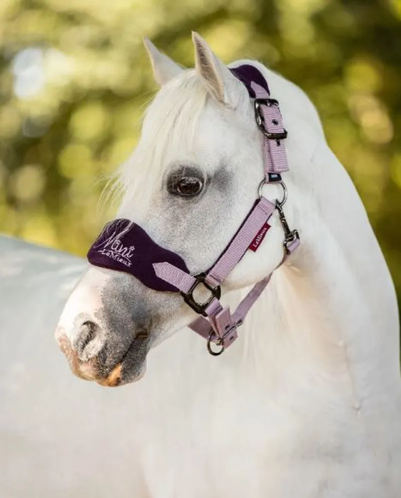 LeMieux Mini Vogue Headcollar and Leadrope Fig