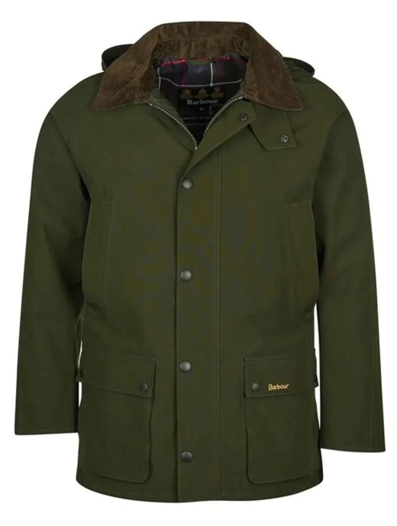Ashby 2025 midas barbour