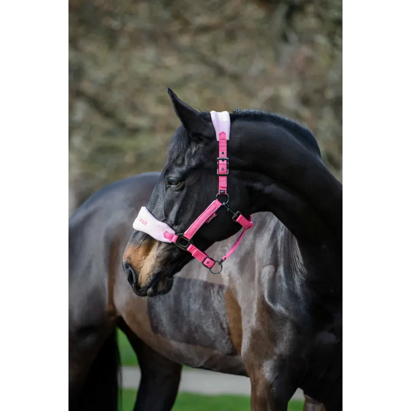 LeMieux Vogue Fleece Headcollar and Rope Watermelon-1